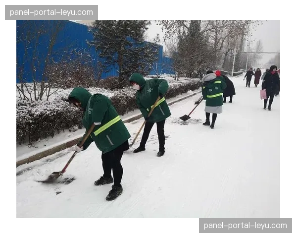 现场：亚特兰大主场突降大雪，工作人员紧急清理场地